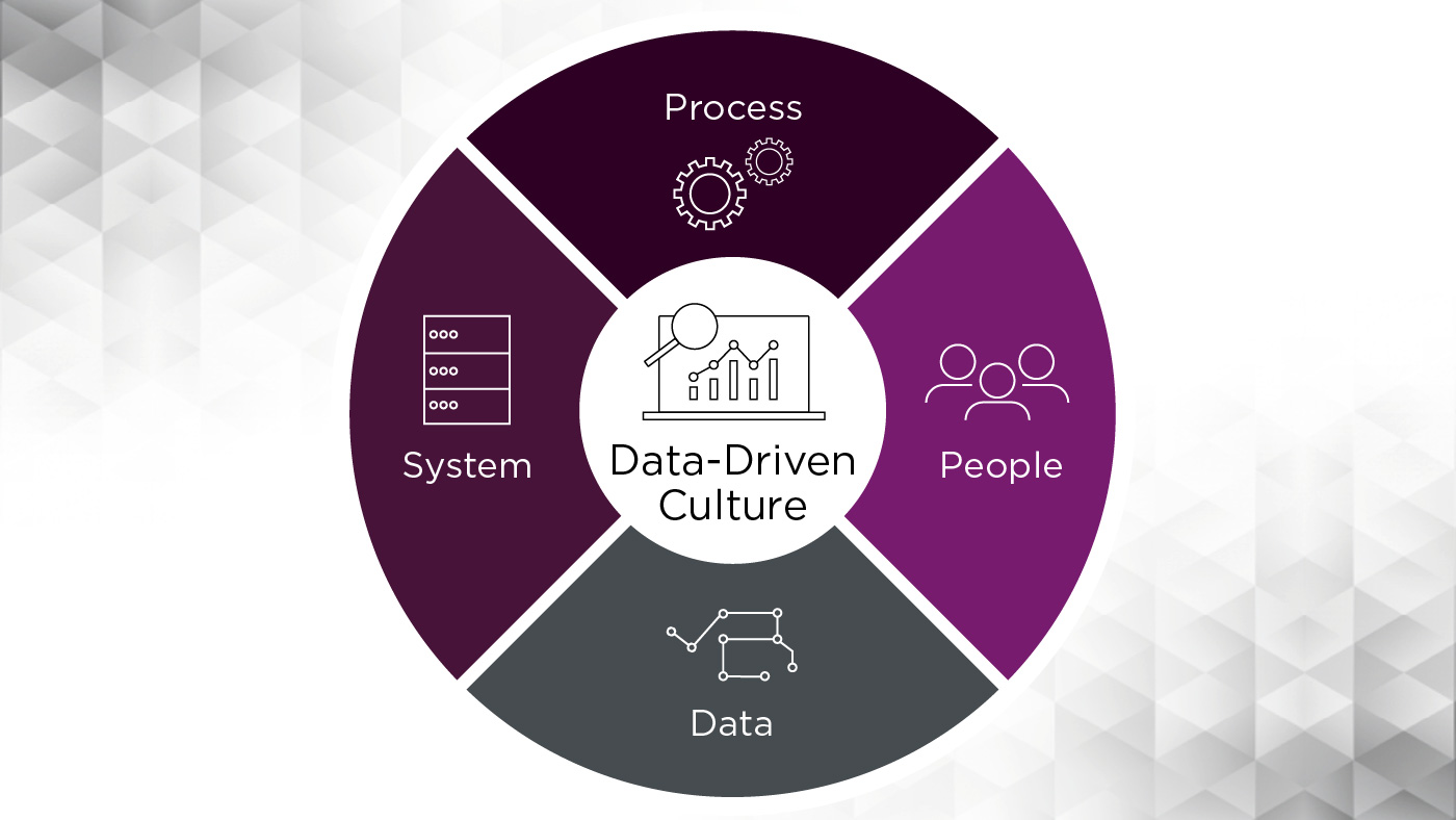 Climber Data-Driven Culture